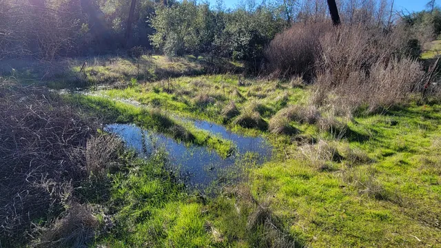 $115,000 | 14485 Small Farms Drive, Igo, CA 96047