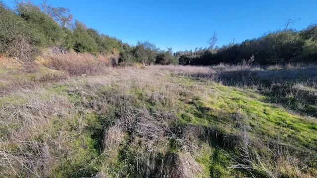 $115,000 | 14485 Small Farms Drive, Igo, CA 96047