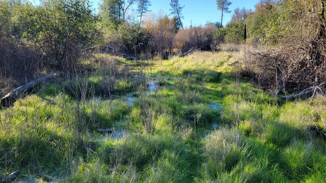 $115,000 | 14485 Small Farms Drive, Igo, CA 96047