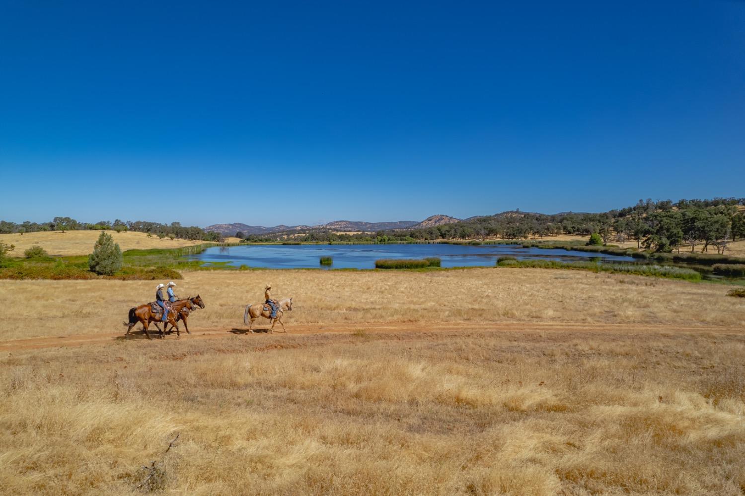 27044 McCourtney Road Grass Valley, CA 95949 - Photo 48 of 74