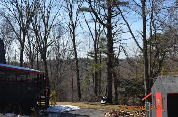 119 Thresher Road Hampden, MA 01036 - Photo 2 of 22 a view of street with trees