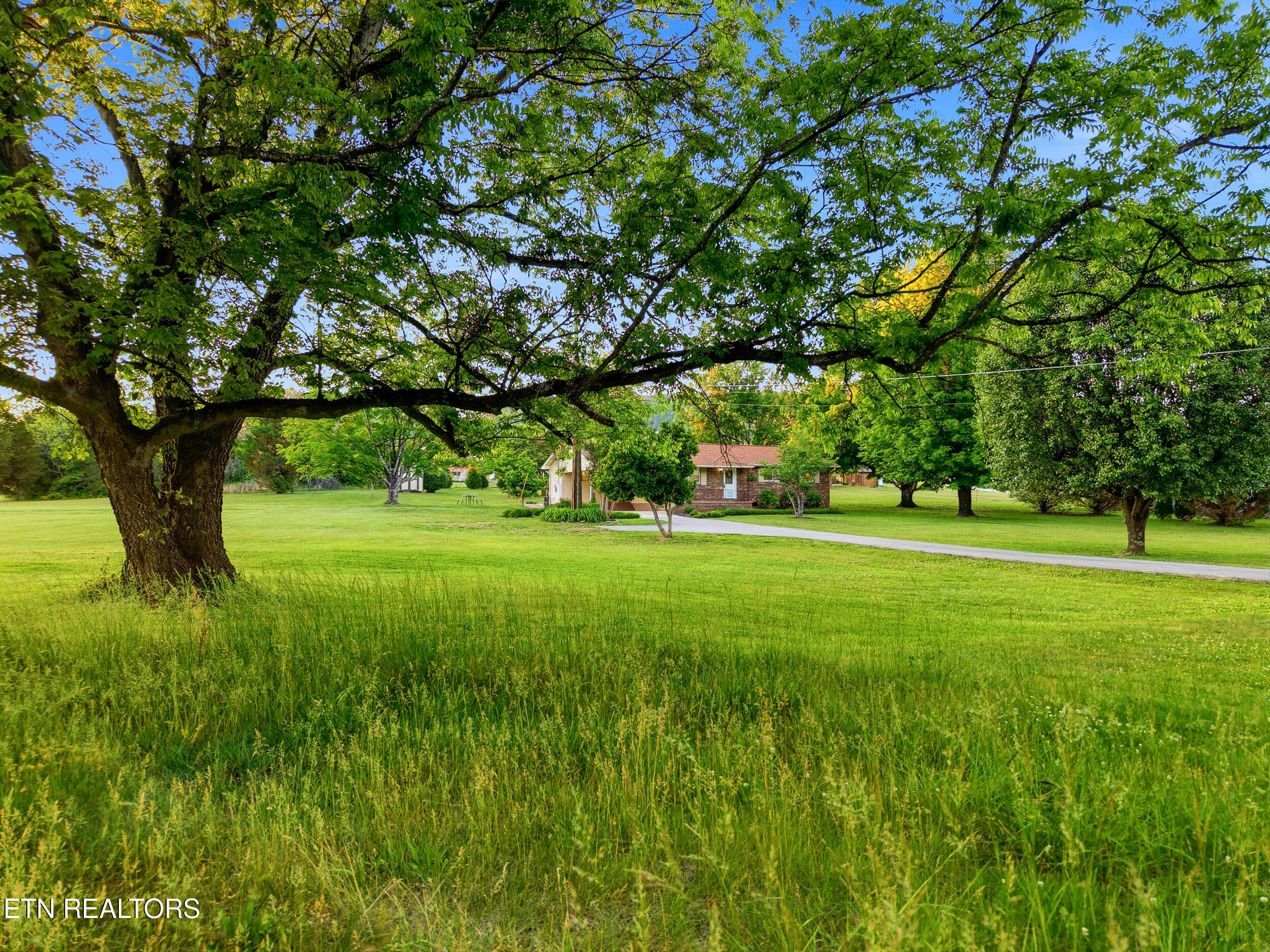 4_819_rutledge_pike_0011
