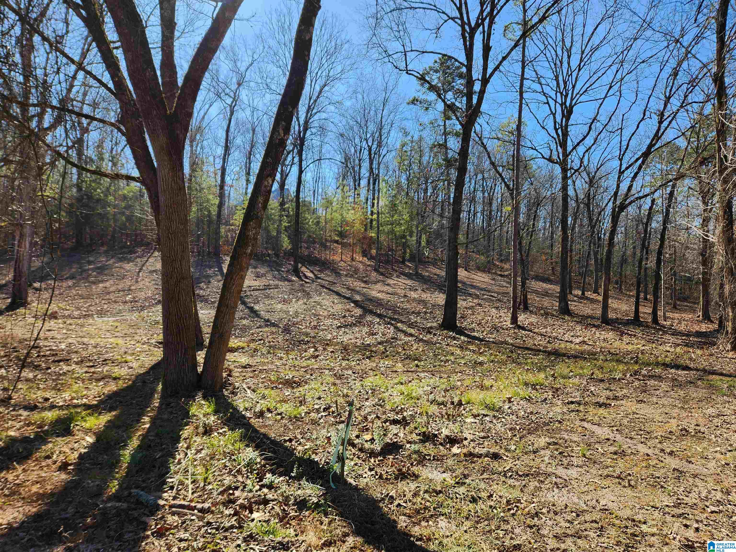 0 Spring Creek Road, Unit 3 Columbiana, AL 35051 - Photo 8 of 14