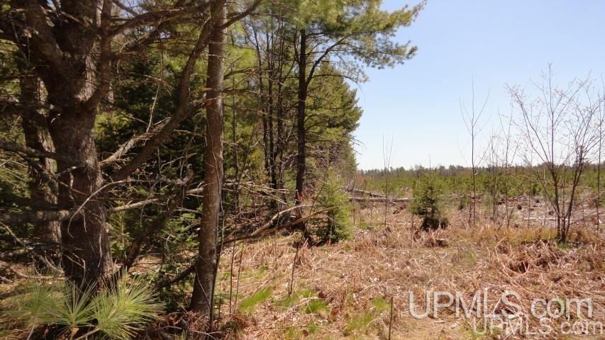 Tbd Off Doe Lake Road Munising, MI 49862 - Photo 2 of 11