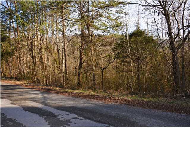 41 Camp Agape Road Benton, TN 37307 - Photo 3 of 12 Additional Photo