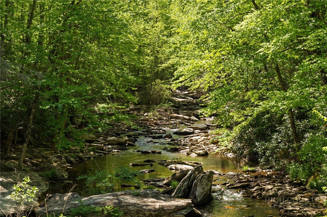 Rivers Street Boone, NC 28607 - Photo 11 of 16