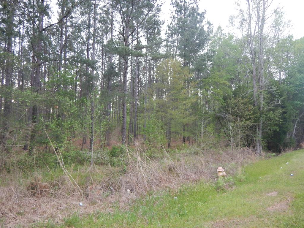 0 Lowder Road Sumter, SC 29153 - Photo 1 of 1 Gallery Image 1