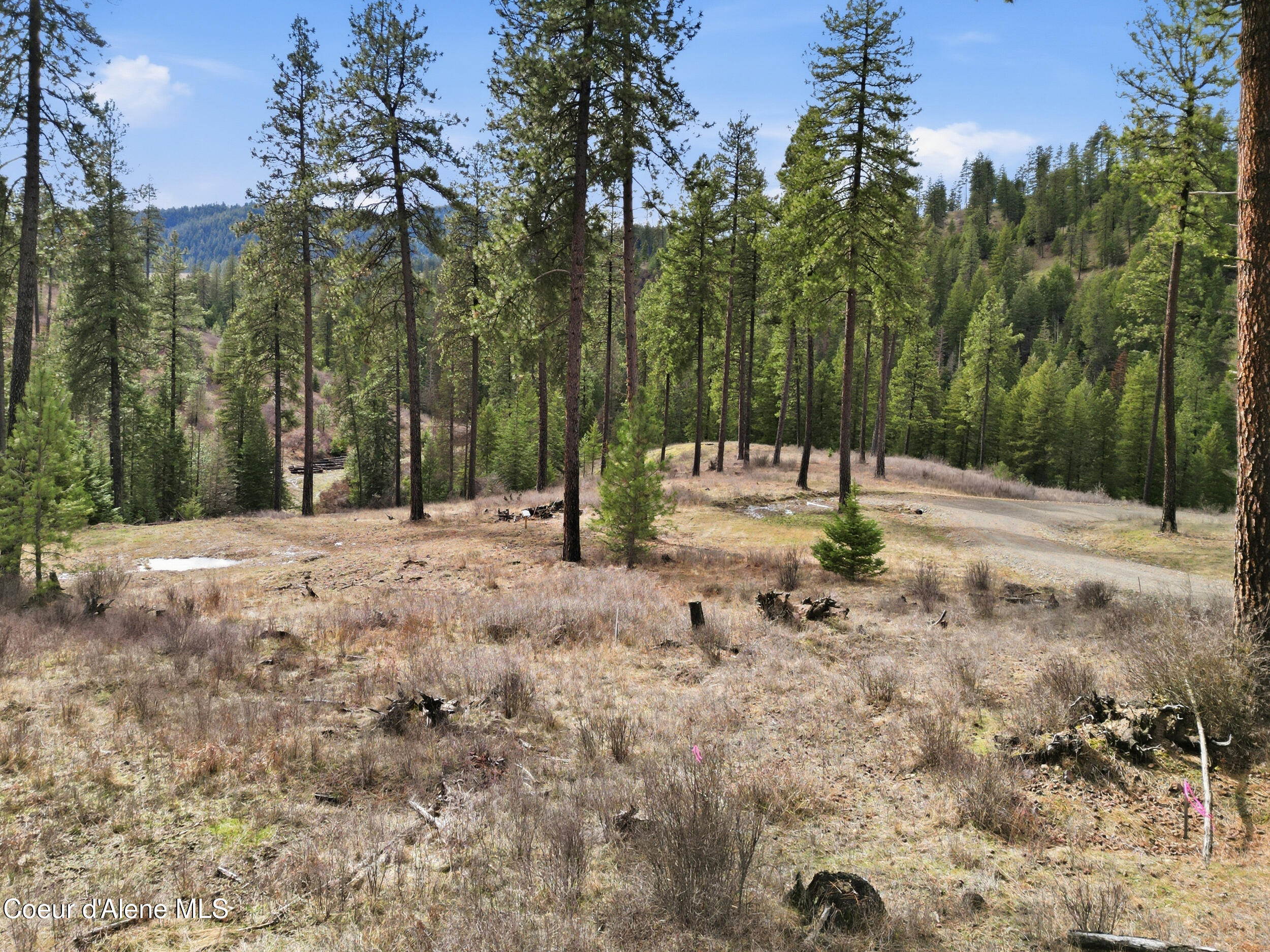 2304 South Blue Creek Road, Unit LOTS Coeur D'Alene, ID 83814 - Photo 24 of 39 35_dji_0155