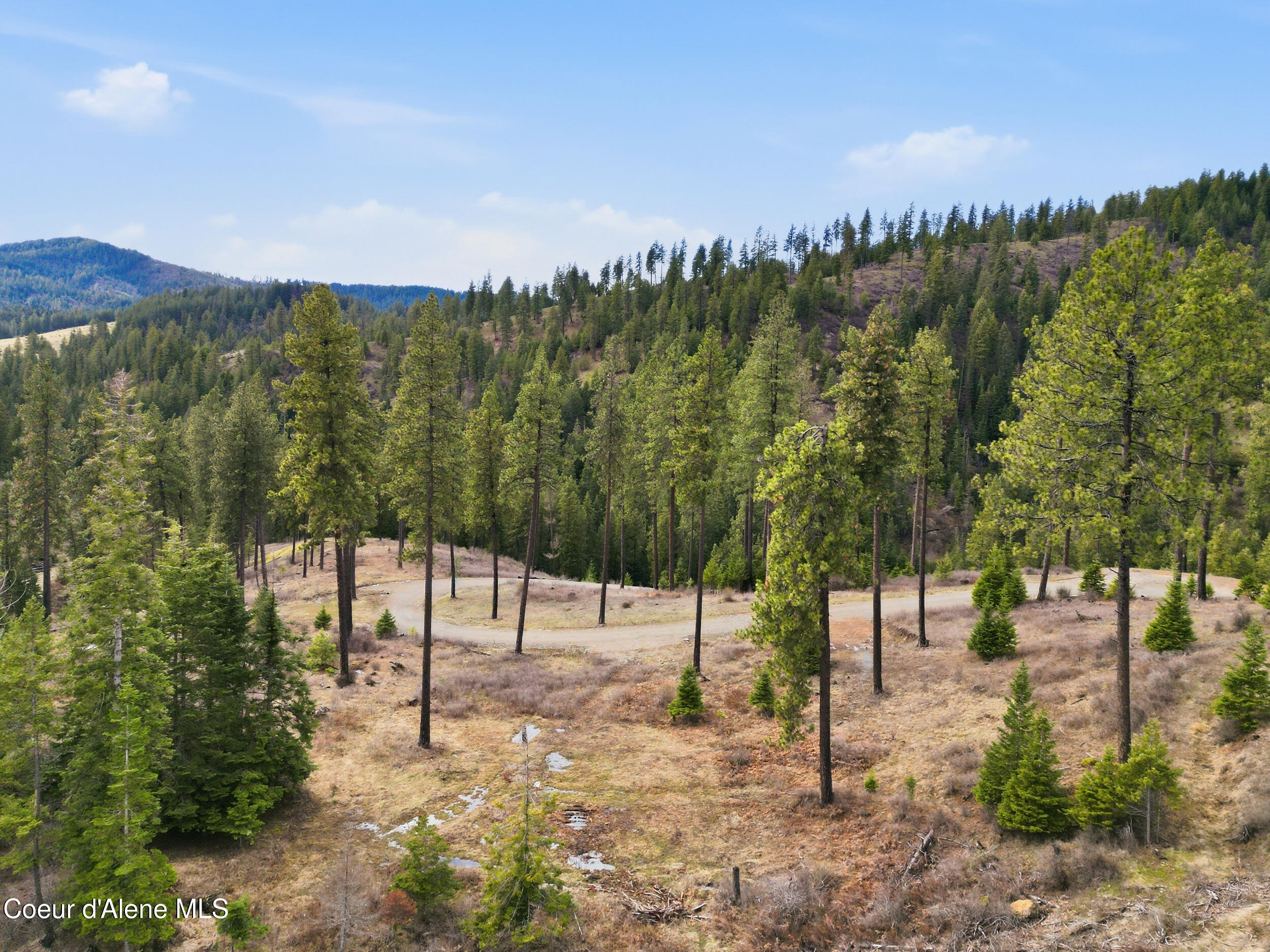 2304 South Blue Creek Road, Unit LOTS Coeur D'Alene, ID 83814 - Photo 25 of 39 36_dji_0159