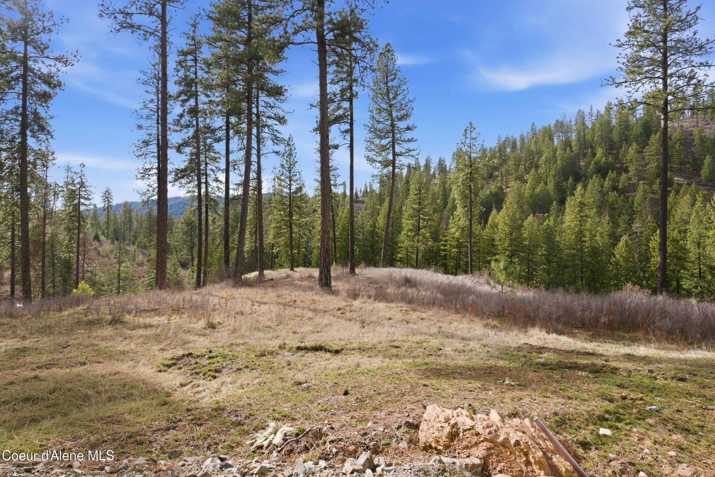 2304 South Blue Creek Road, Unit LOTS Coeur D'Alene, ID 83814 - Photo 27 of 39 22__dsc3257