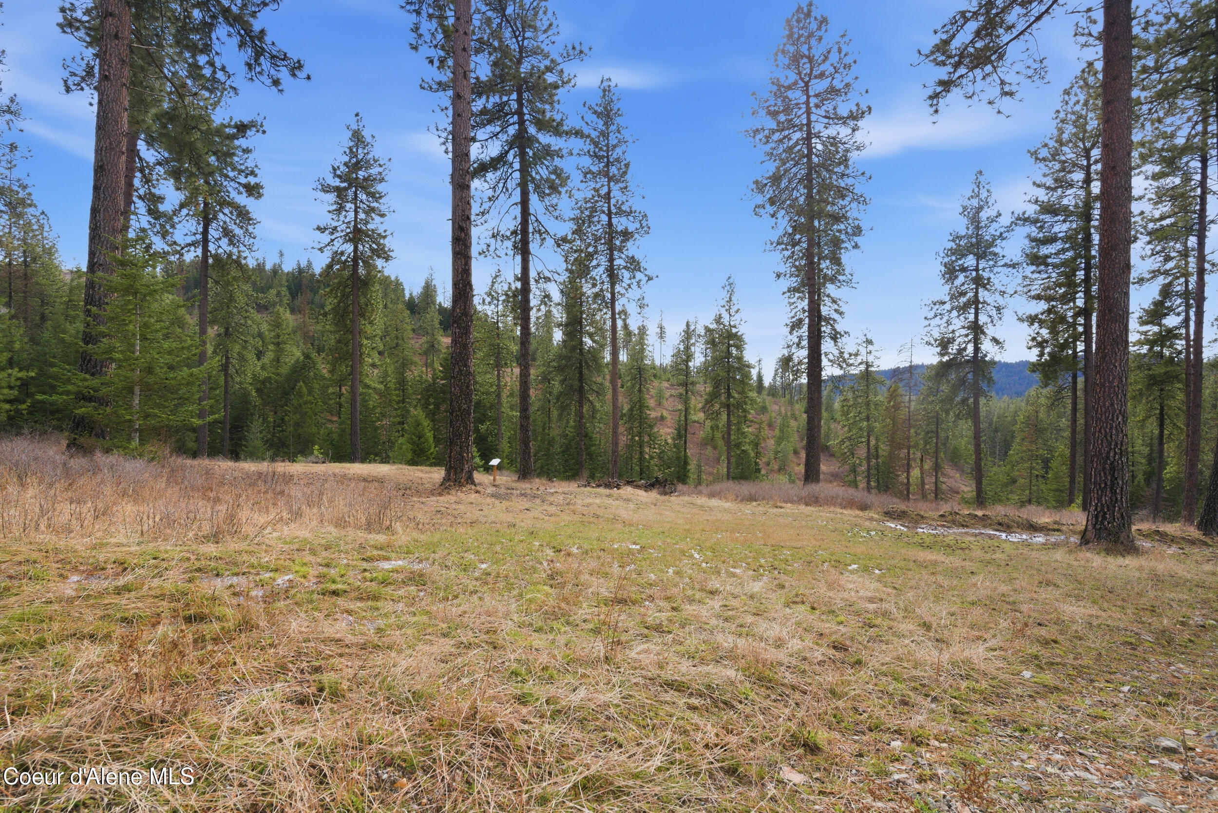 2304 South Blue Creek Road, Unit LOTS Coeur D'Alene, ID 83814 - Photo 30 of 39 25__dsc3262