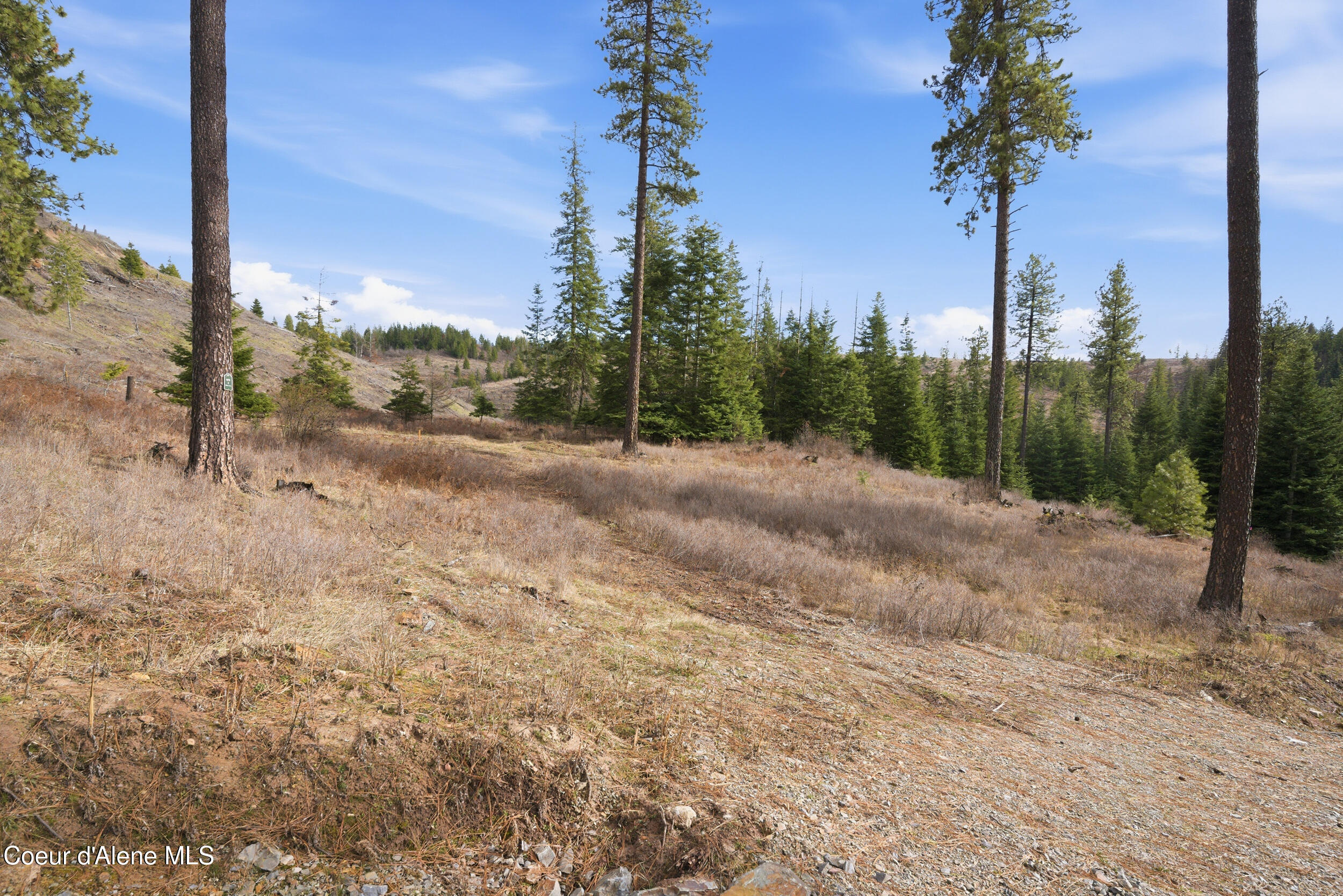 2304 South Blue Creek Road, Unit LOTS Coeur D'Alene, ID 83814 - Photo 32 of 39 27__dsc3264