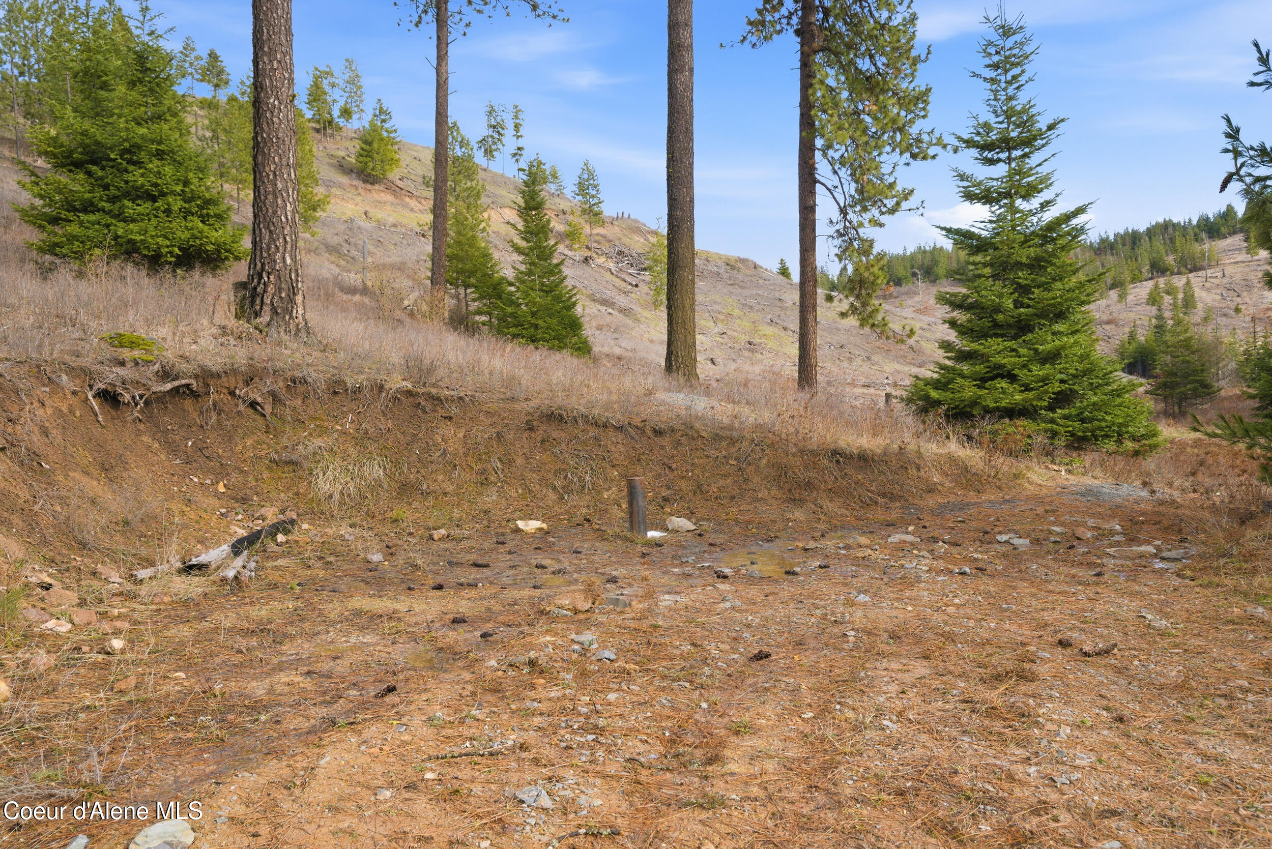2304 South Blue Creek Road, Unit LOTS Coeur D'Alene, ID 83814 - Photo 33 of 39 28__dsc3267