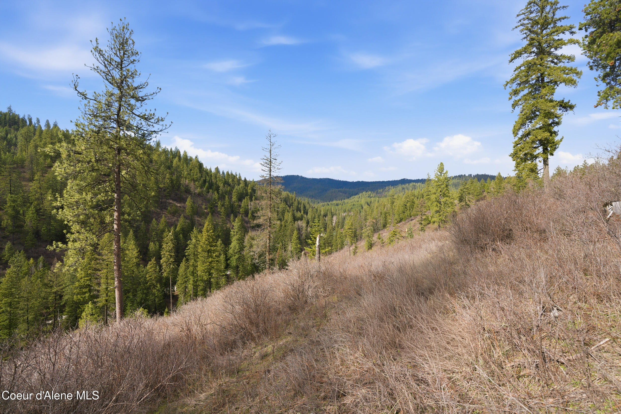 2304 South Blue Creek Road, Unit LOTS Coeur D'Alene, ID 83814 - Photo 37 of 39 32__dsc3276