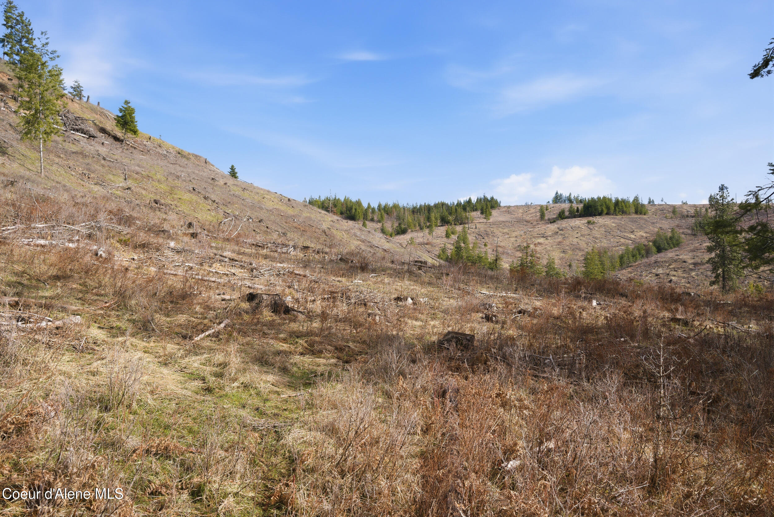 2304 South Blue Creek Road, Unit LOTS Coeur D'Alene, ID 83814 - Photo 39 of 39 34__dsc3281