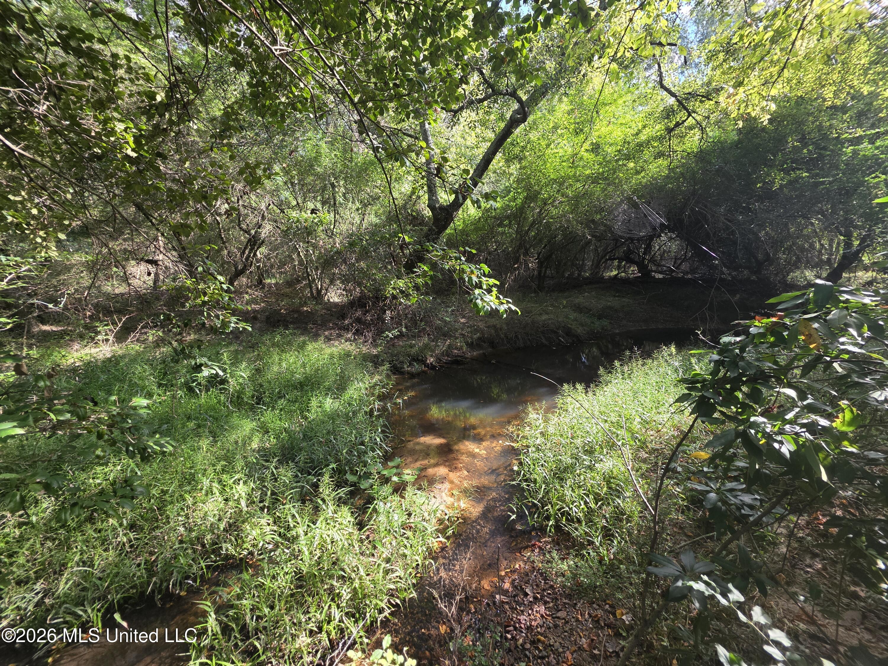Busby Trail Brookhaven, MS 39601 - Photo 23 of 24 42734