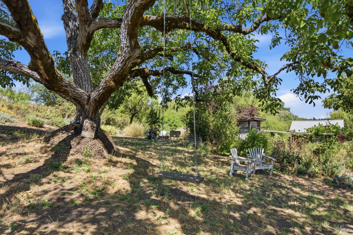 8650 Savio Road Sebastopol, CA 95472 - Photo 24 of 52 Gallery Image 24