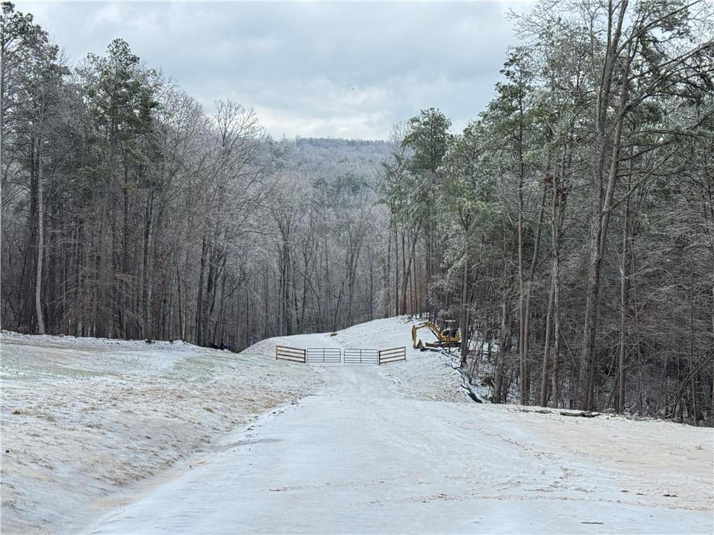 1632 Sperin Road Ball Ground, GA 30107 - Photo 1 of 8 a view of a backyard of the house