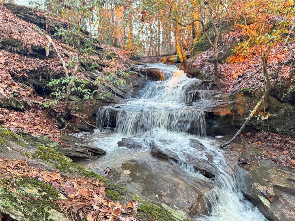 1632 Sperin Road Ball Ground, GA 30107 - Photo 3 of 8 a view of outdoor space with green space