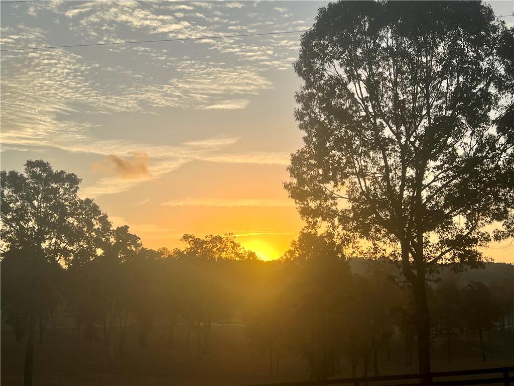 1632 Sperin Road Ball Ground, GA 30107 - Photo 4 of 8 a view of lake