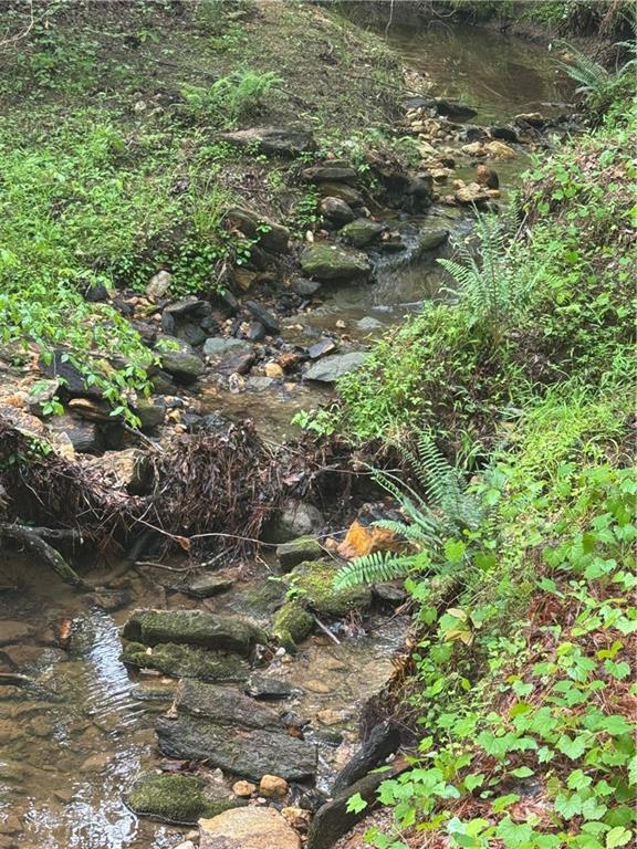 1632 Sperin Road Ball Ground, GA 30107 - Photo 5 of 8