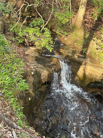 a view of a yard with plants and large trees