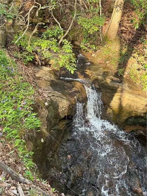 1632 Sperin Road Ball Ground, GA 30107 - Photo 6 of 8 a picture of tree