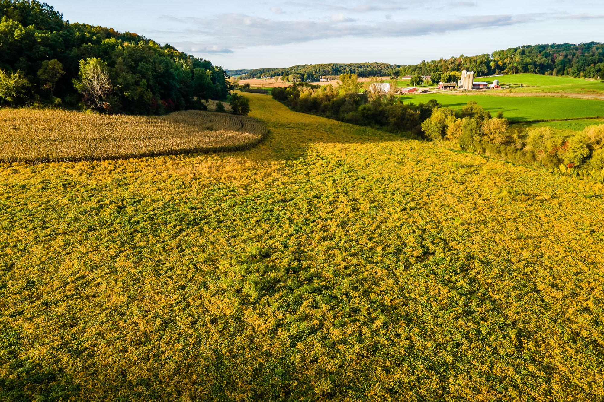 Lt3 Eli Valley Road Hillpoint, WI 53937 - Photo 10 of 12 Sauk-County-WI-Tillable-Land-For-Sale-2