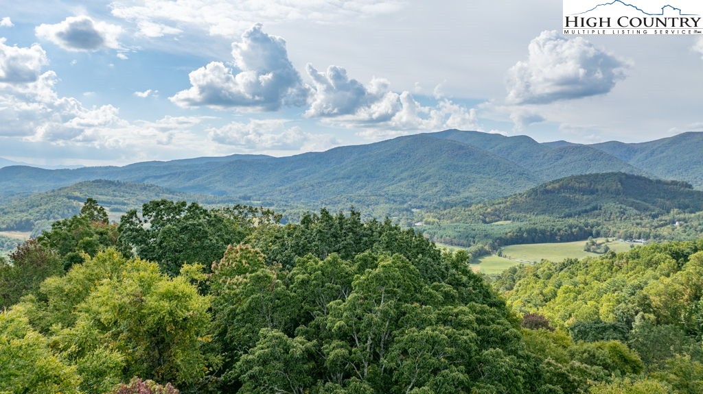 30 Summit View Parkway Spruce Pine, NC 28777 - Photo 11 of 24