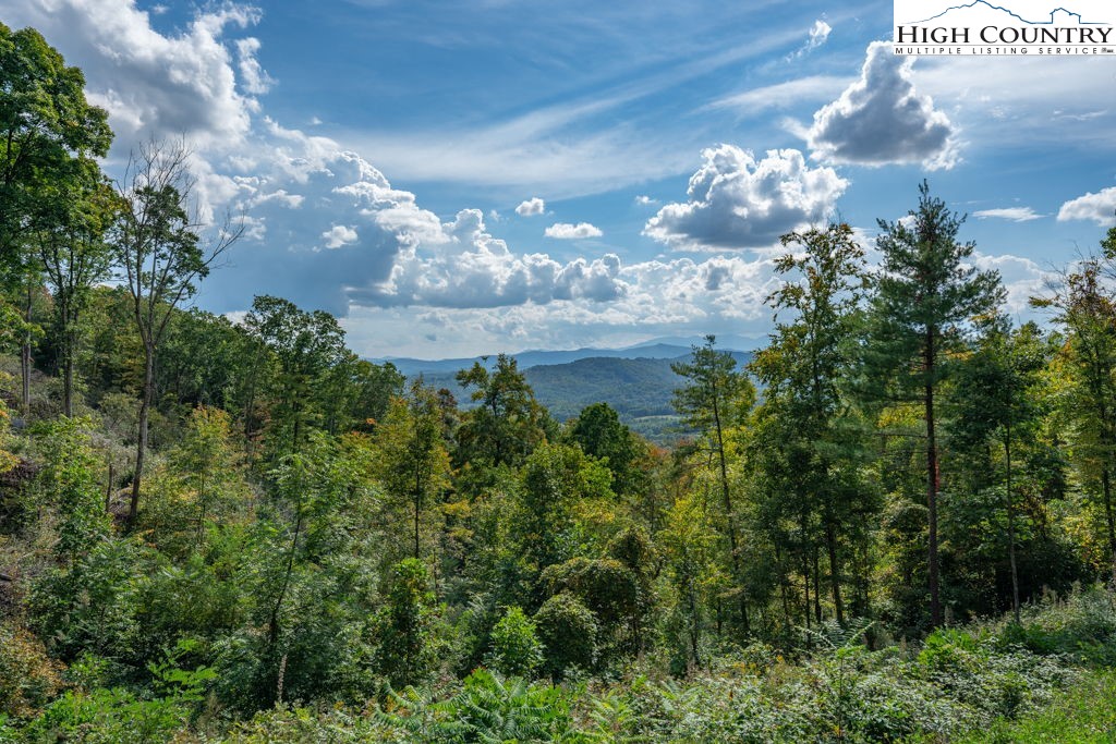 30 Summit View Parkway Spruce Pine, NC 28777 - Photo 18 of 24
