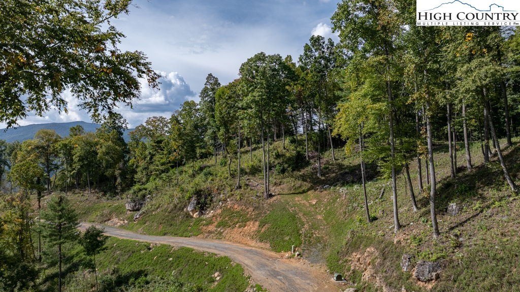 30 Summit View Parkway Spruce Pine, NC 28777 - Photo 8 of 24