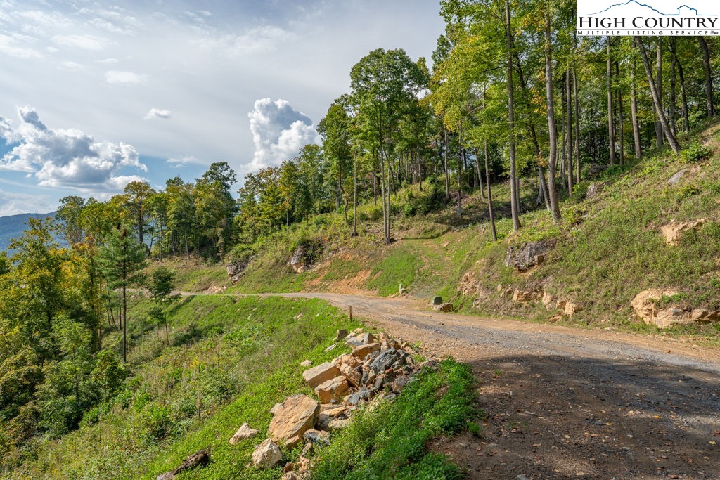 30 Summit View Parkway Spruce Pine, NC 28777 - Photo 9 of 24