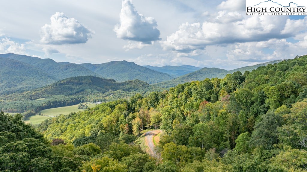 30 Summit View Parkway Spruce Pine, NC 28777 - Photo 10 of 24