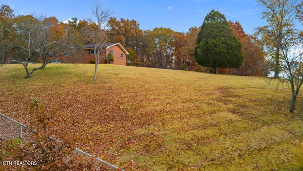 253 Burkemill Road Rockwood, TN 37854 - Photo 47 of 53