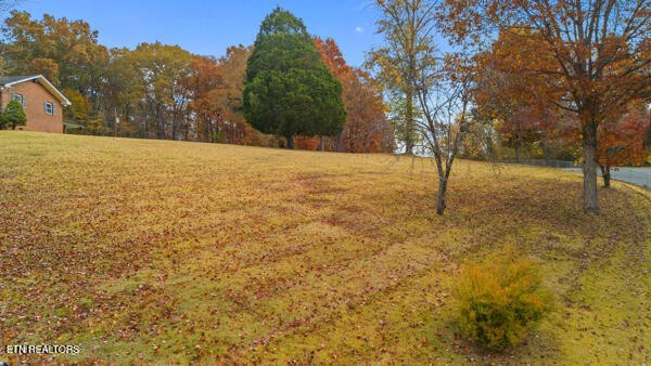 253 Burkemill Road Rockwood, TN 37854 - Photo 48 of 53