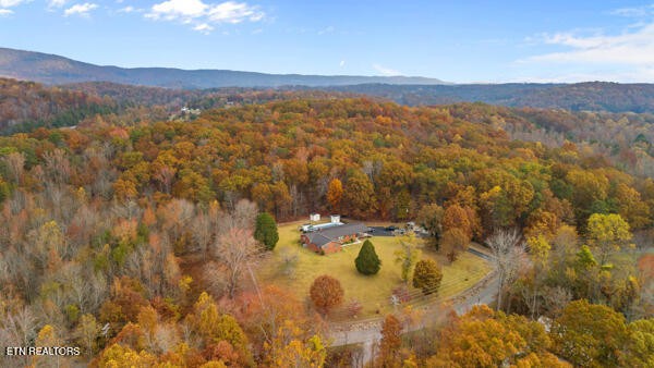 253 Burkemill Road Rockwood, TN 37854 - Photo 52 of 53