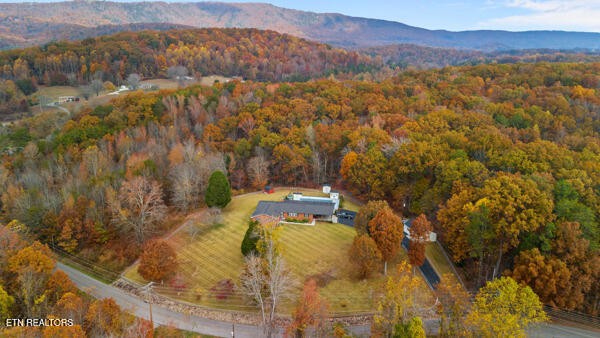 253 Burkemill Road Rockwood, TN 37854 - Photo 53 of 53