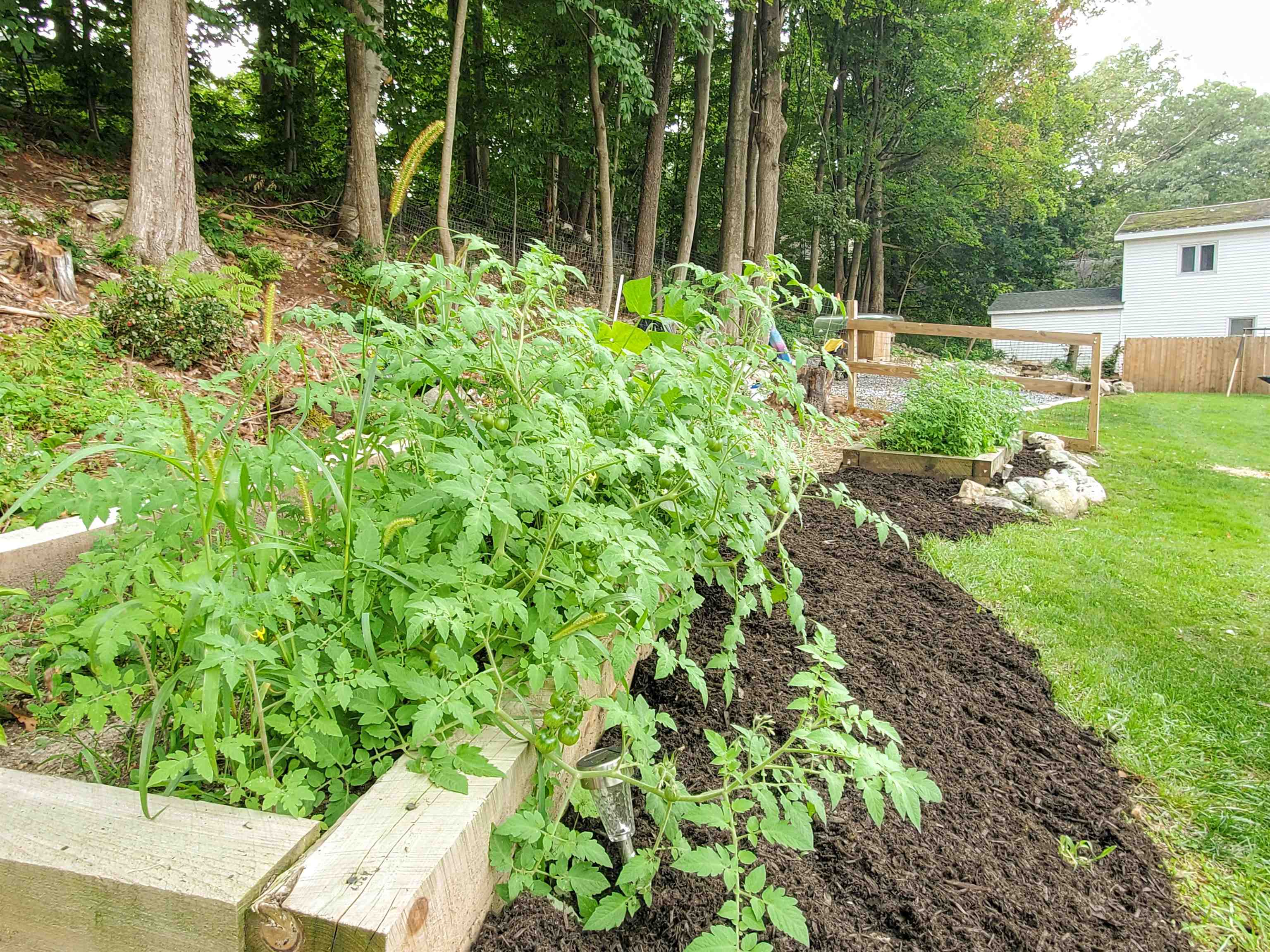 105 Hickory Hill Road Bennington, VT 05201 - Photo 33 of 38