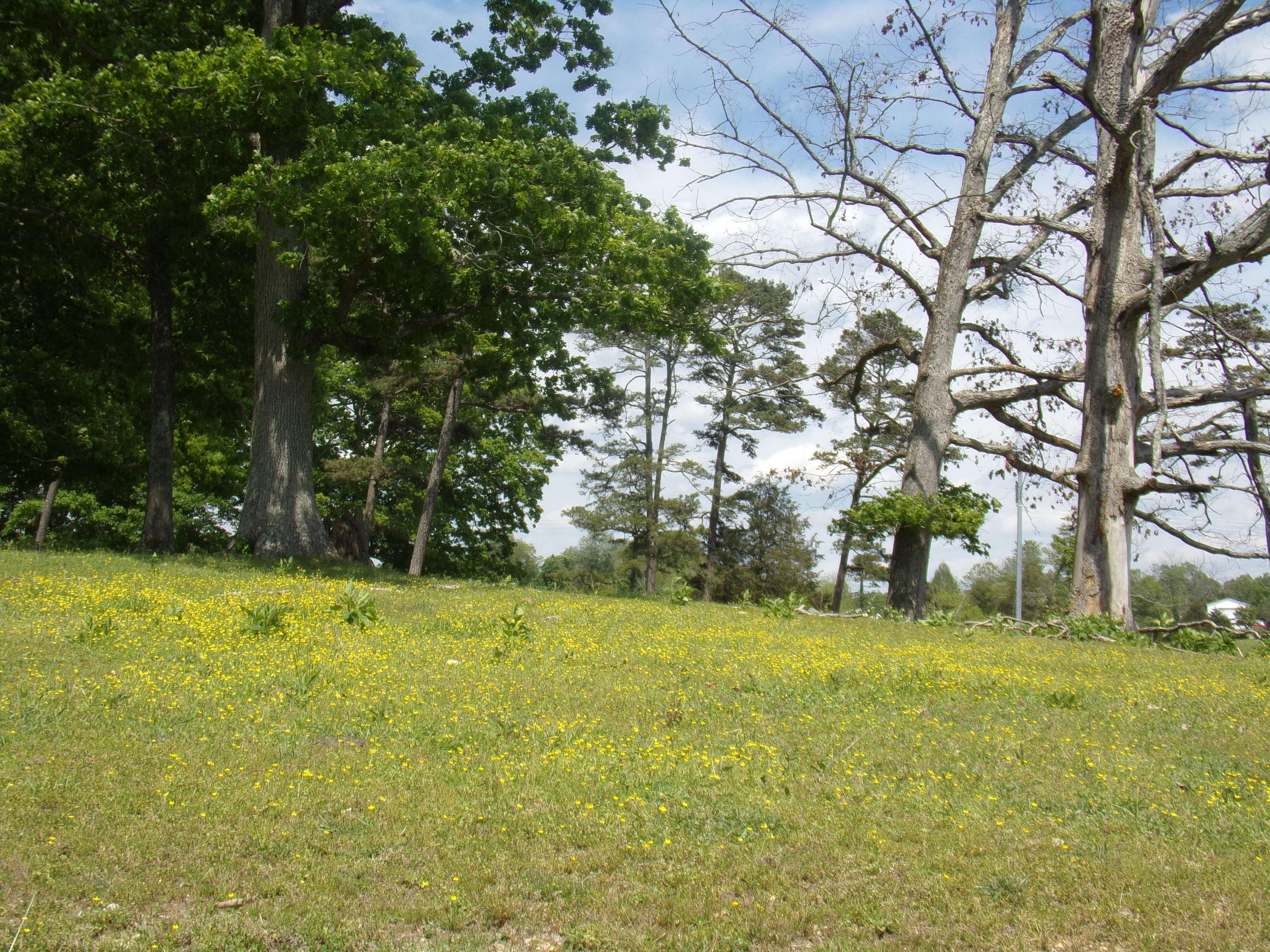 Camp Ridge Road La Follette, TN 37766 - Photo 11 of 37 100_0242