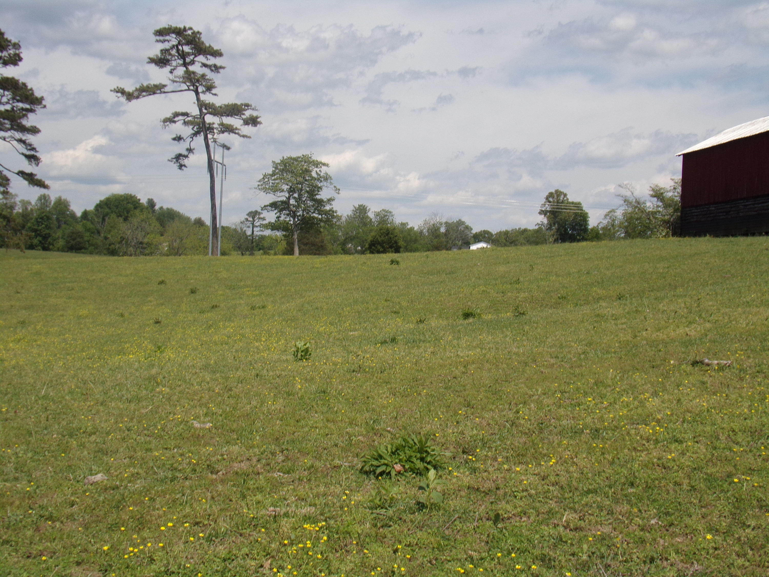 Camp Ridge Road La Follette, TN 37766 - Photo 14 of 37 100_0245