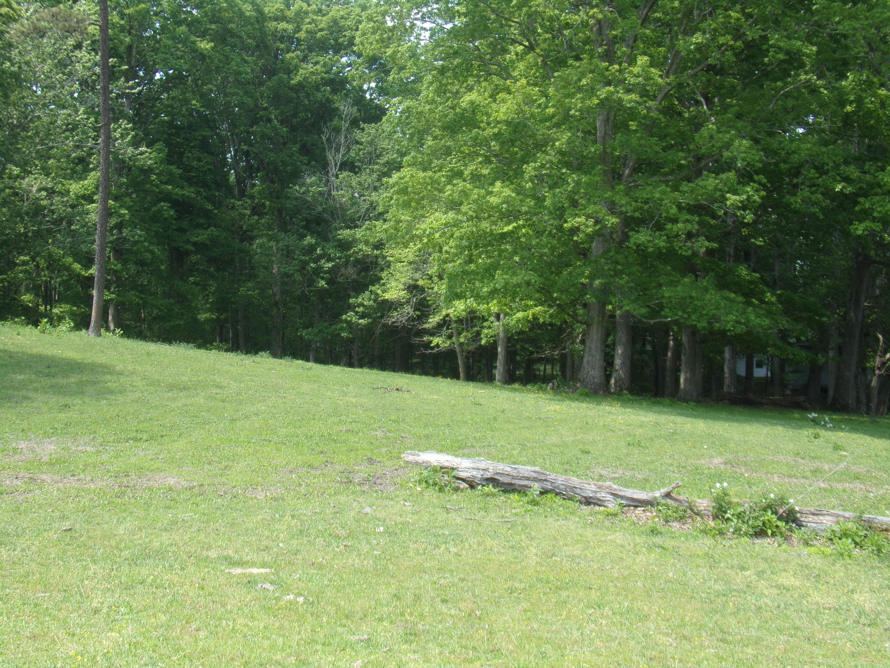 Camp Ridge Road La Follette, TN 37766 - Photo 16 of 37 100_0247