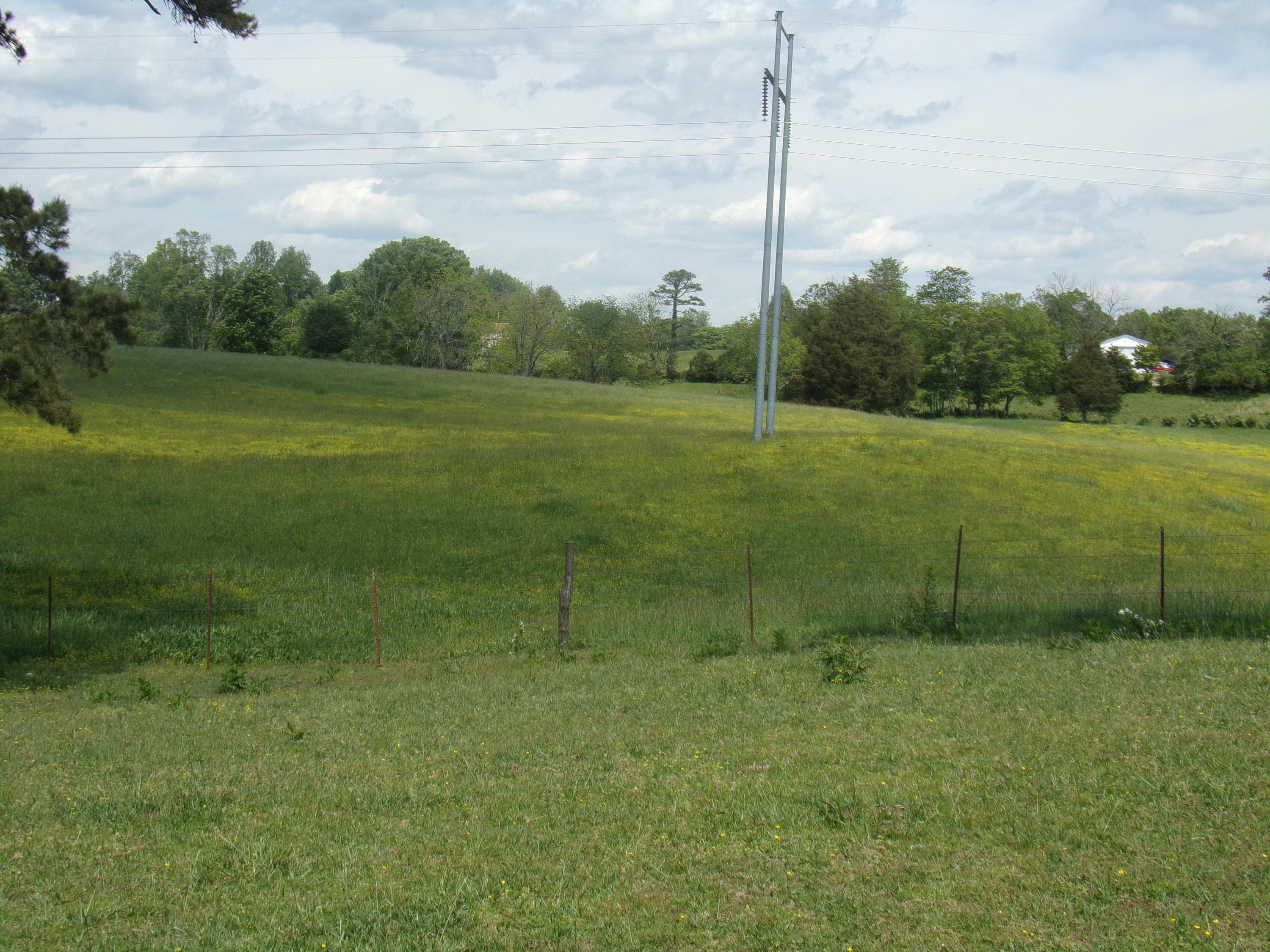 Camp Ridge Road La Follette, TN 37766 - Photo 17 of 37 100_0248