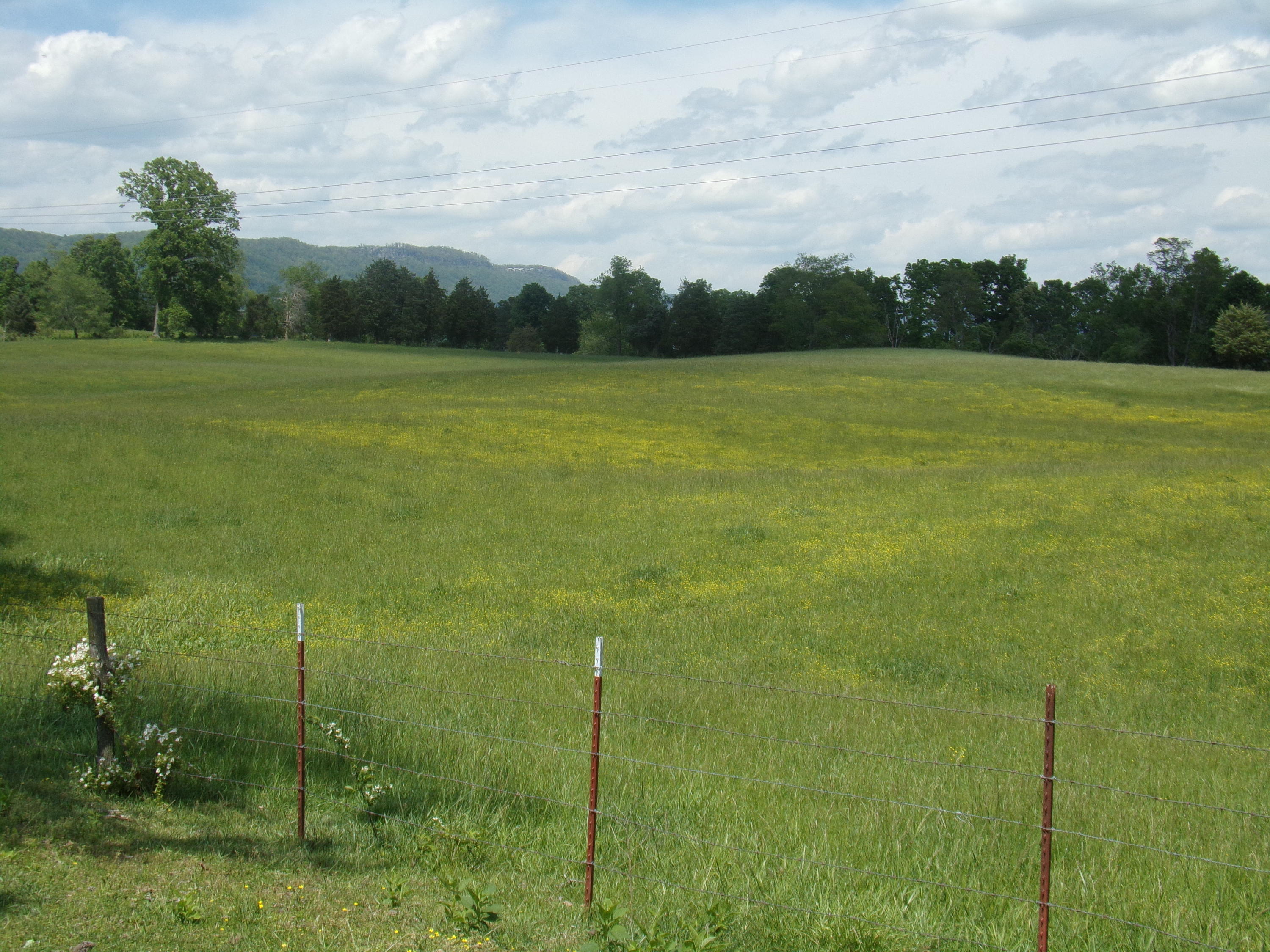 Camp Ridge Road La Follette, TN 37766 - Photo 18 of 37 100_0250