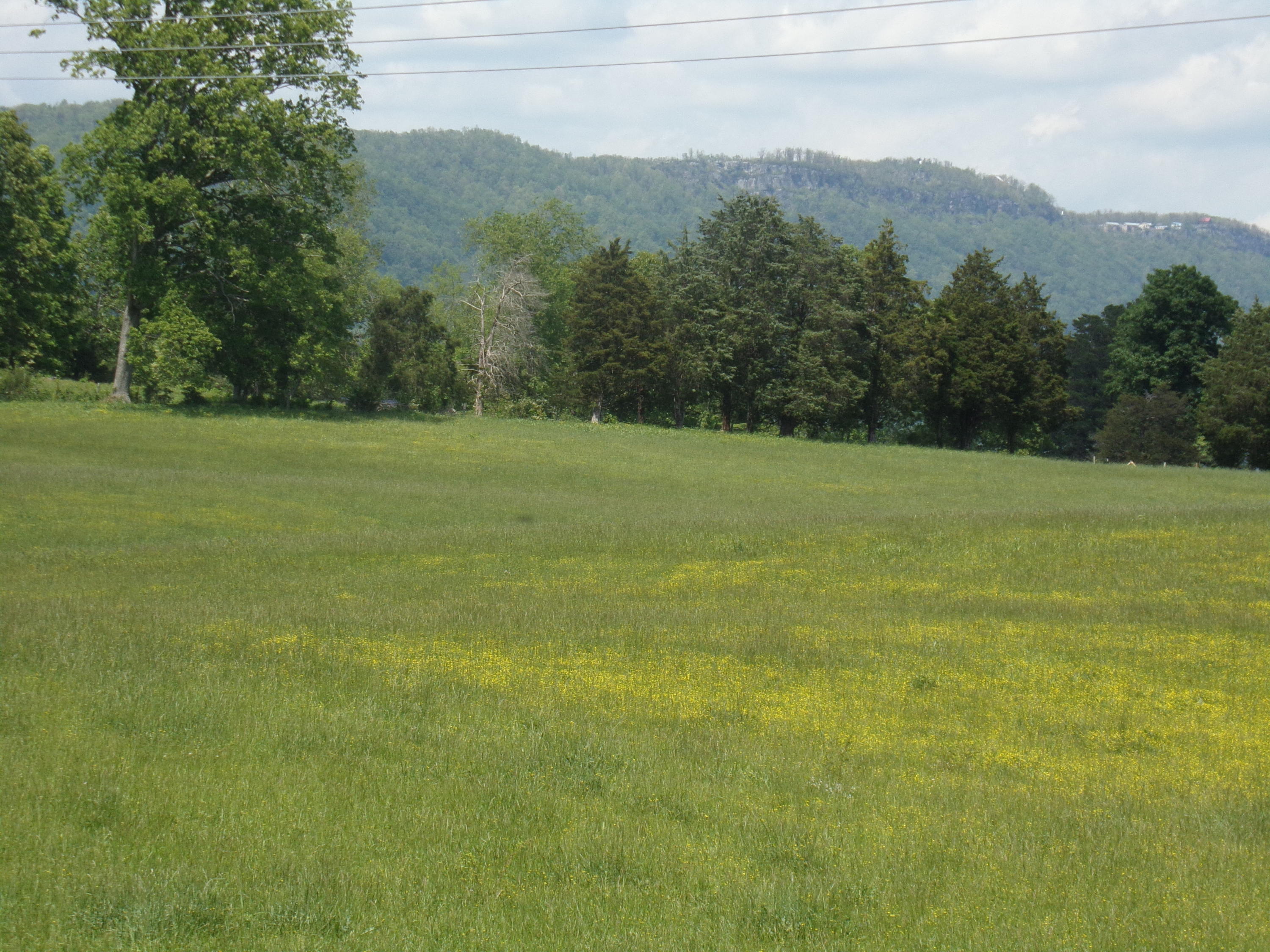 Camp Ridge Road La Follette, TN 37766 - Photo 19 of 37 100_0251