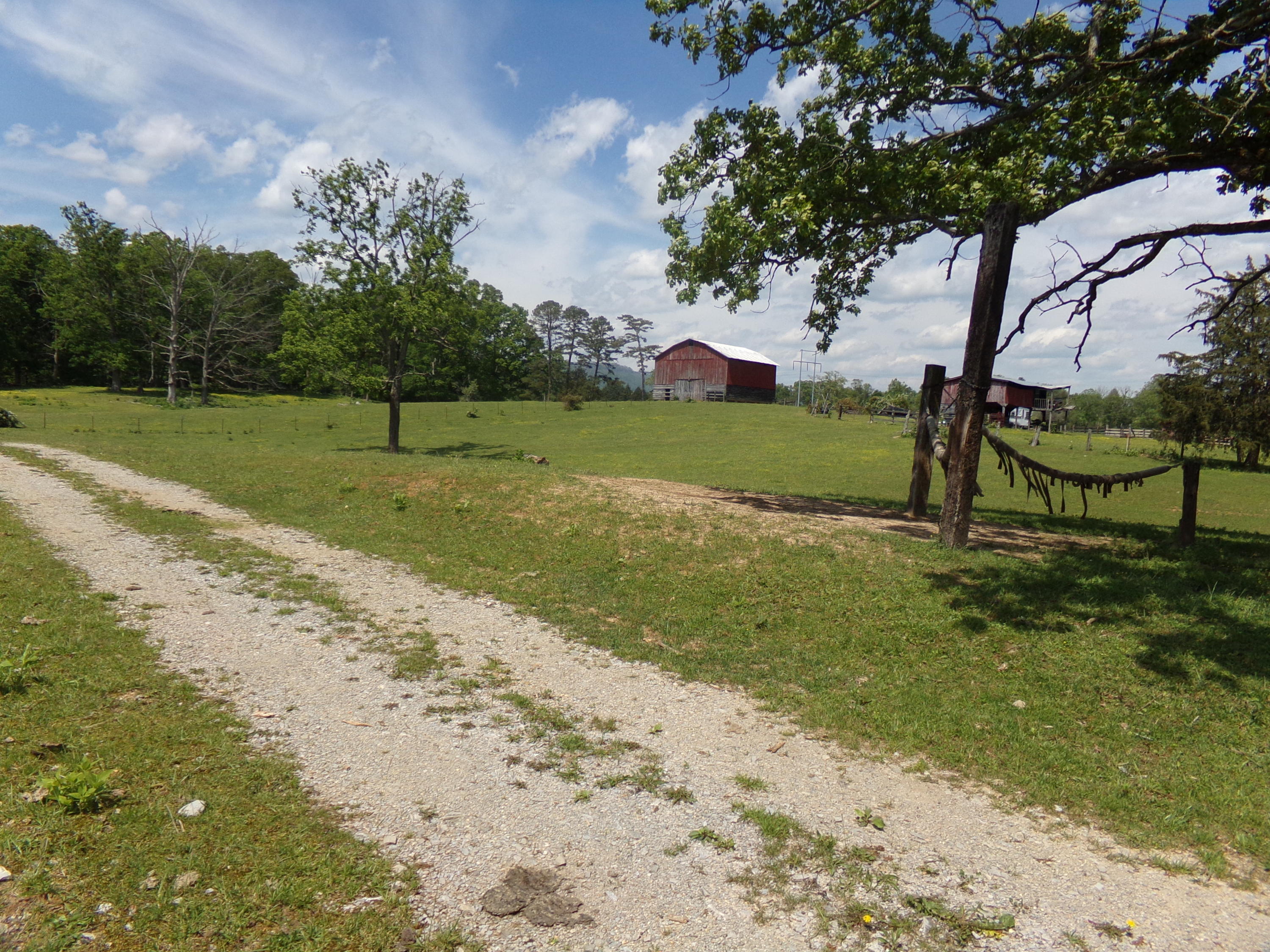 Camp Ridge Road La Follette, TN 37766 - Photo 2 of 37 100_0240