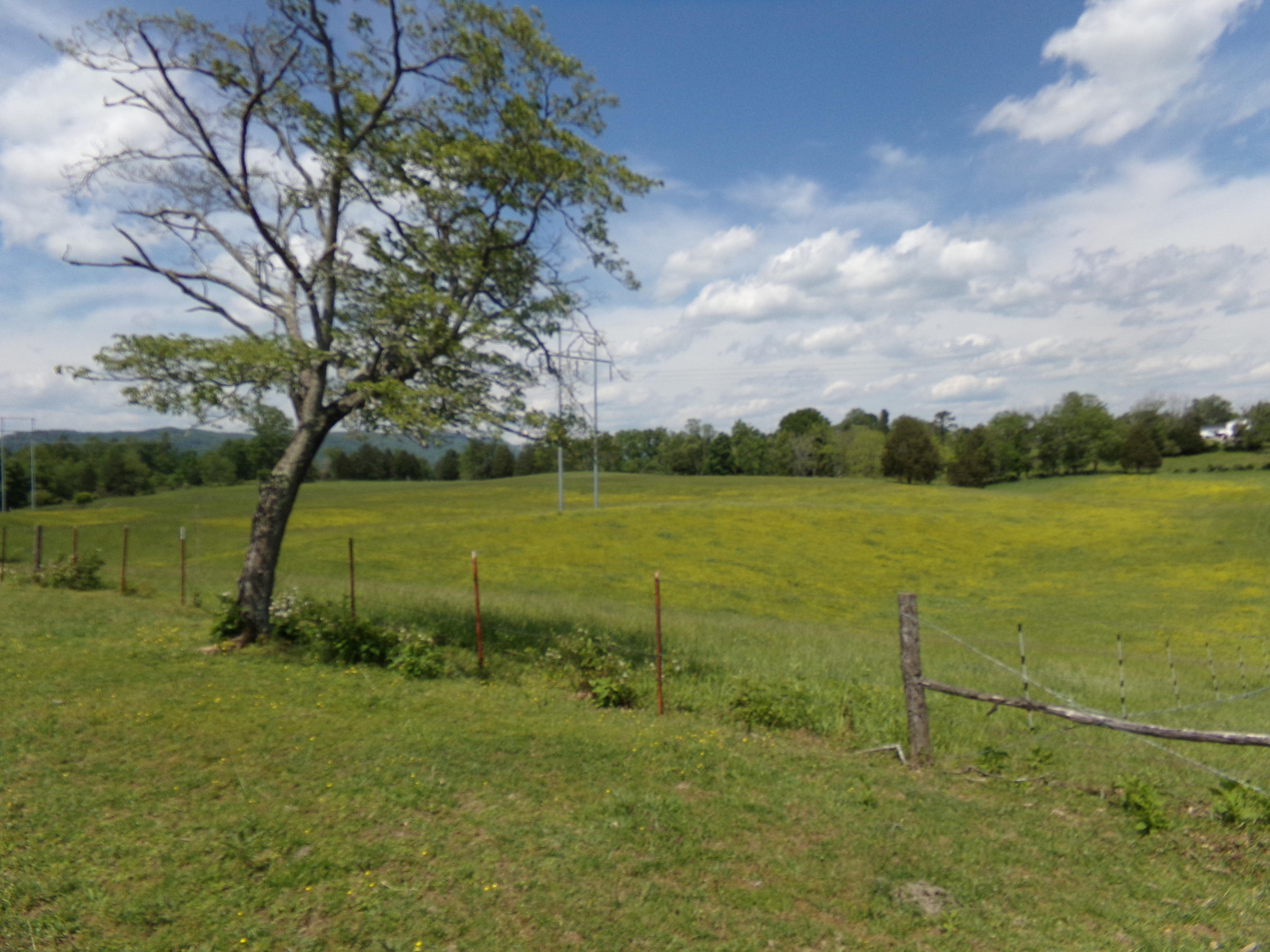 Camp Ridge Road La Follette, TN 37766 - Photo 23 of 37 100_0255