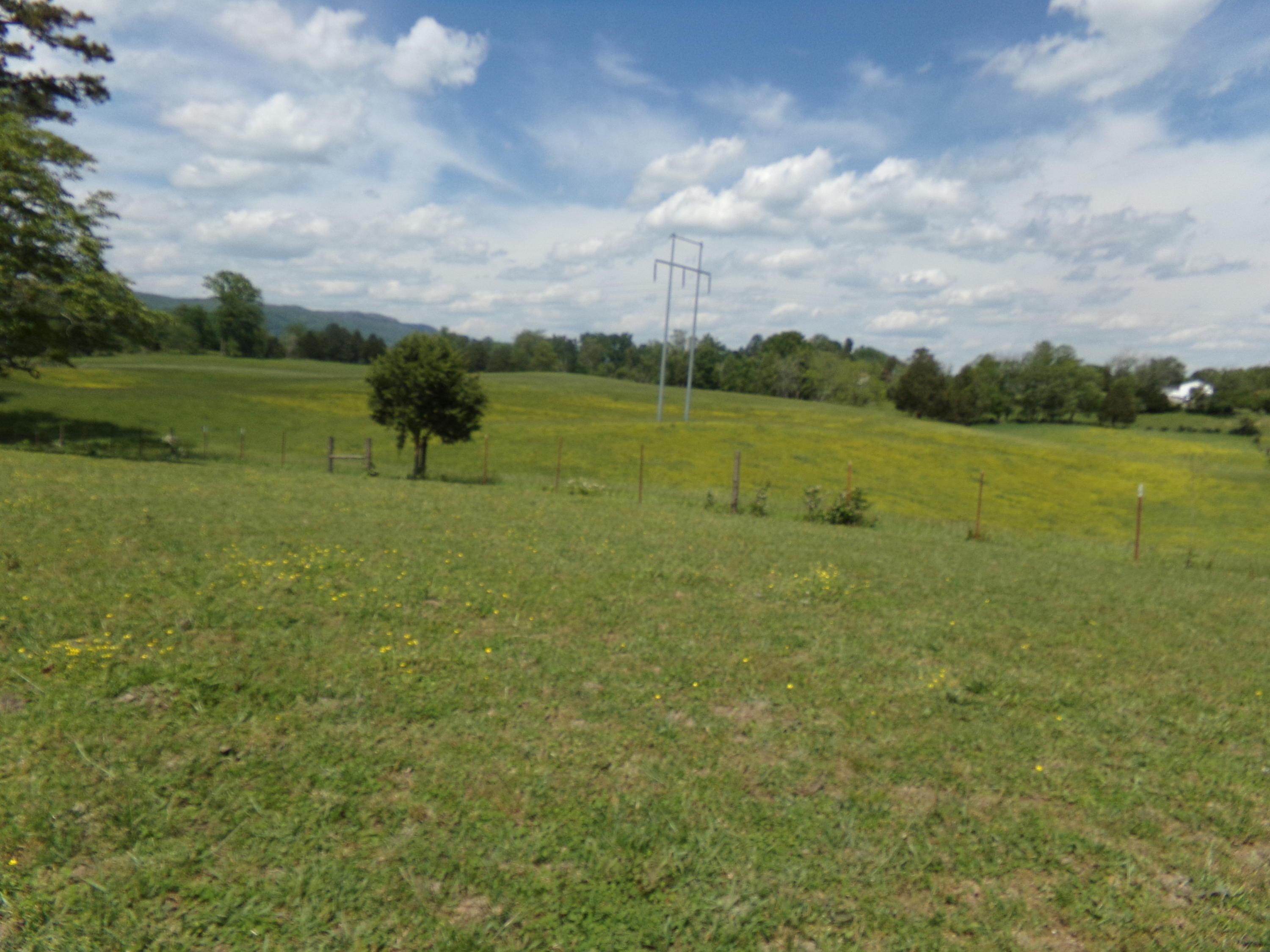 Camp Ridge Road La Follette, TN 37766 - Photo 25 of 37 100_0257