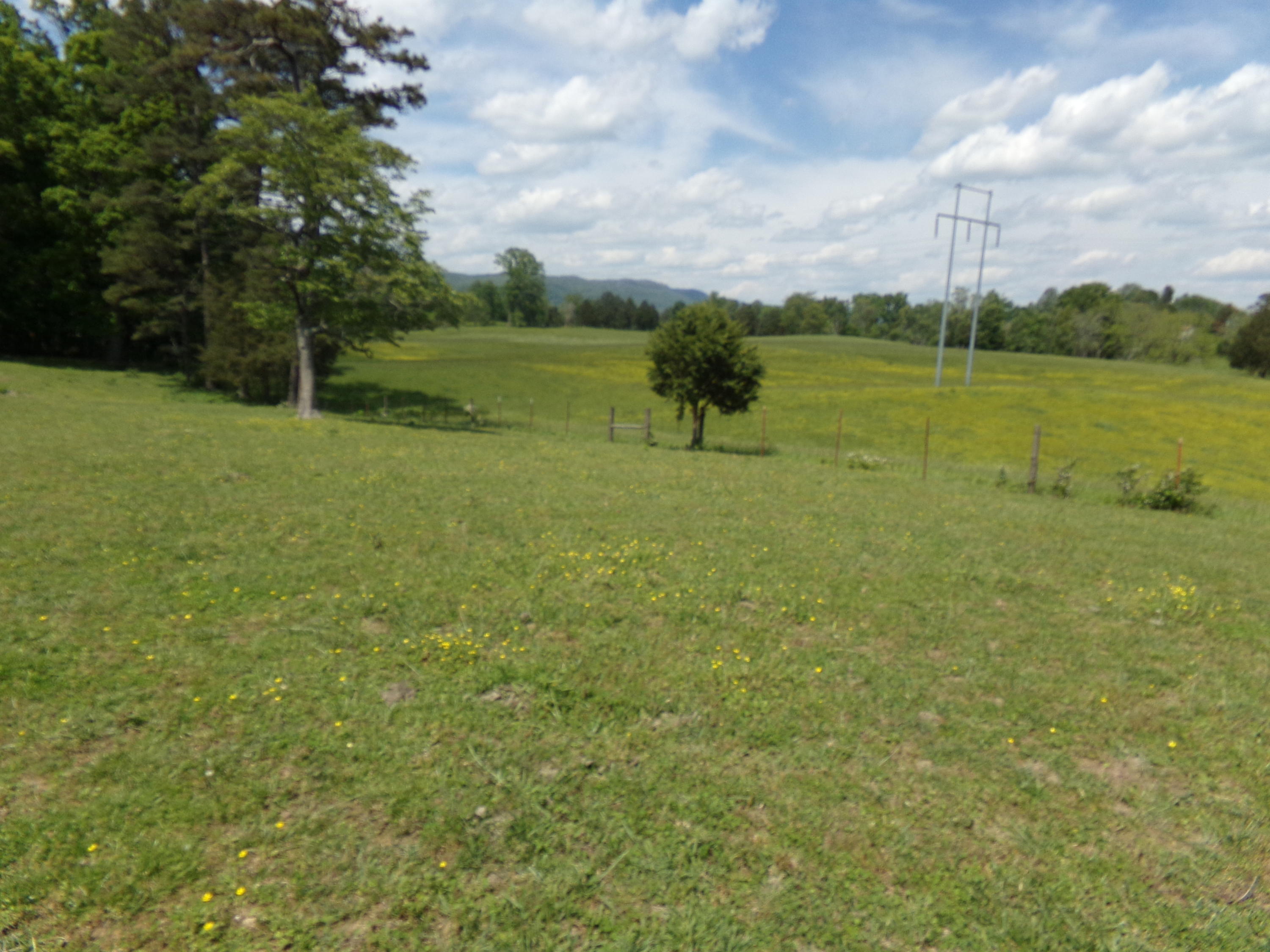 Camp Ridge Road La Follette, TN 37766 - Photo 27 of 37 100_0259