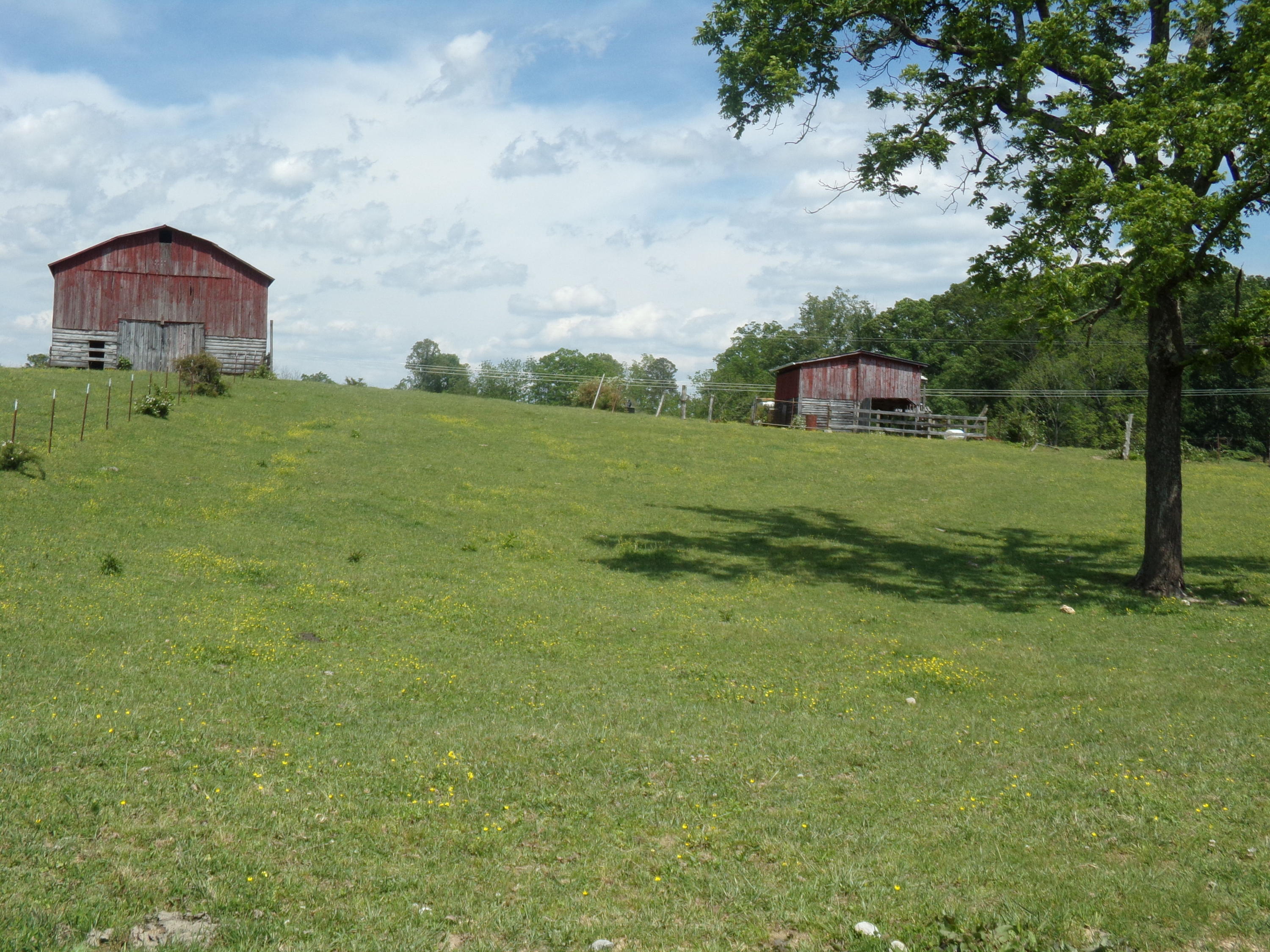 Camp Ridge Road La Follette, TN 37766 - Photo 32 of 37 100_0264