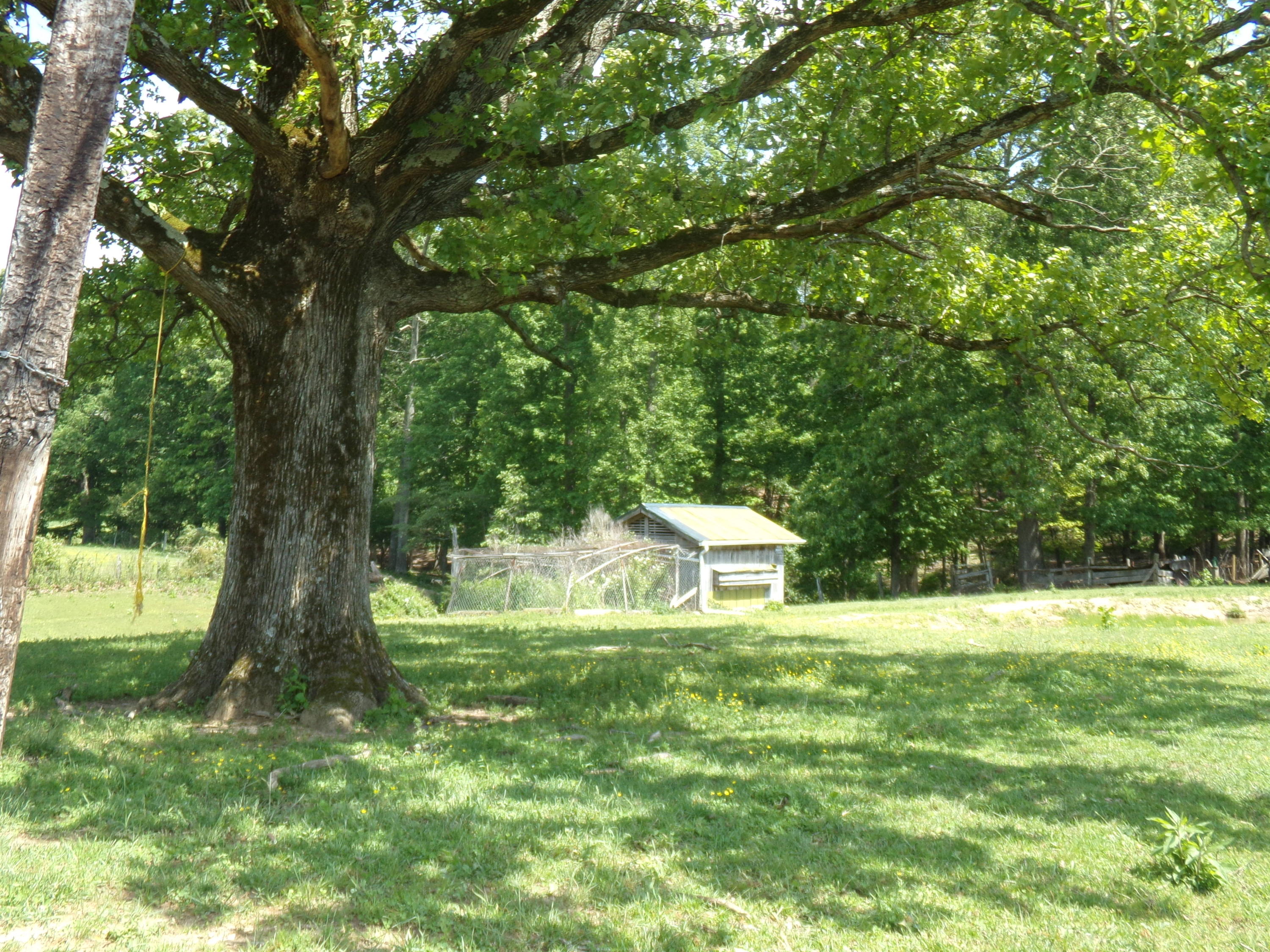 Camp Ridge Road La Follette, TN 37766 - Photo 33 of 37 100_0265